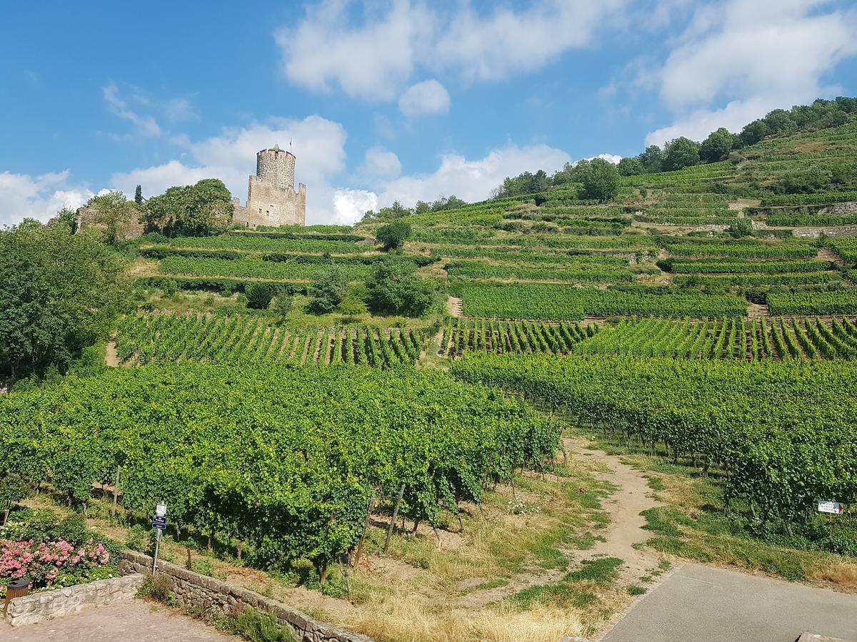 Kaysersberg City Center - Cote Vignoble - Exterior photo